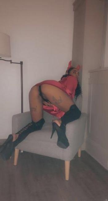 2162732043, female escort, Cleveland